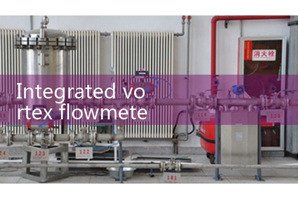 Integrated vortex flowmeter manufacturer